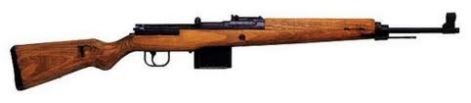 gewehr_43.jpeg